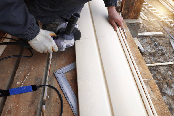 Best Vinyl Siding Installation  in Monticello, MN